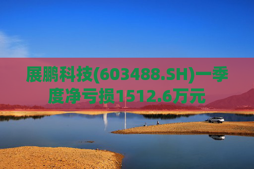 展鹏科技(603488.SH)一季度净亏损1512.6万元