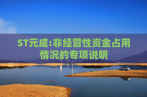ST元成:非经营性资金占用情况的专项说明
