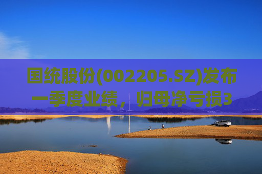 国统股份(002205.SZ)发布一季度业绩，归母净亏损3153万元  第1张