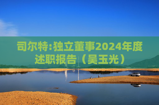 司尔特:独立董事2024年度述职报告（吴玉光）