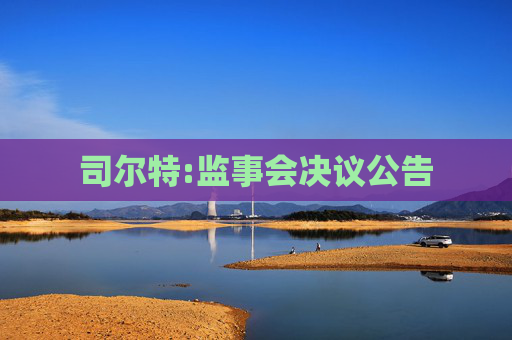 司尔特:监事会决议公告