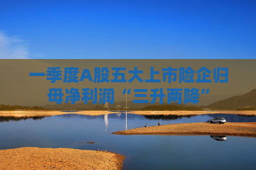 一季度A股五大上市险企归母净利润“三升两降”