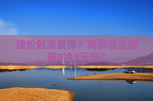 猪价触底反弹？真的会全面破8冲9元吗？