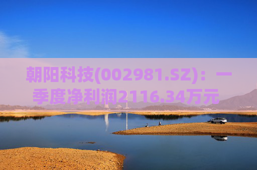 朝阳科技(002981.SZ)：一季度净利润2116.34万元 同比增长145.23%