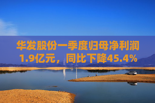 华发股份一季度归母净利润1.9亿元，同比下降45.4%  第1张