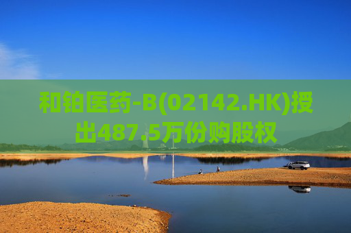 和铂医药-B(02142.HK)授出487.5万份购股权  第1张