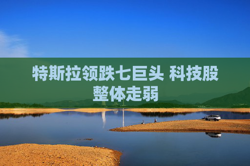 特斯拉领跌七巨头 科技股整体走弱