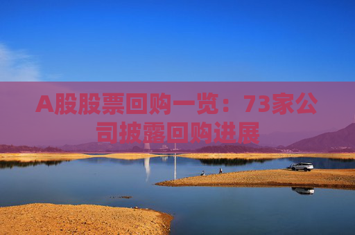 A股股票回购一览：73家公司披露回购进展