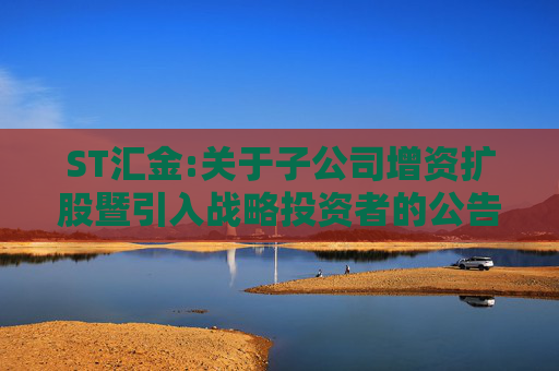 ST汇金:关于子公司增资扩股暨引入战略投资者的公告