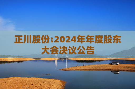 正川股份:2024年年度股东大会决议公告