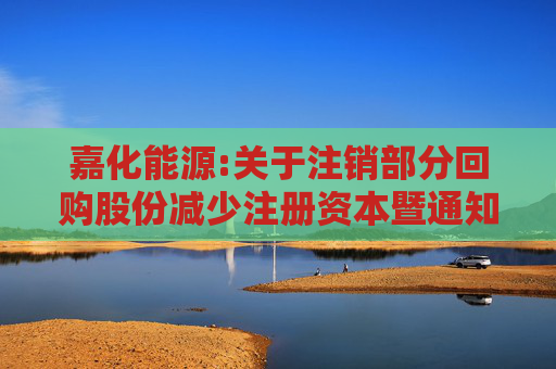 嘉化能源:关于注销部分回购股份减少注册资本暨通知债权人的公告