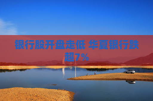 银行股开盘走低 华夏银行跌超7%