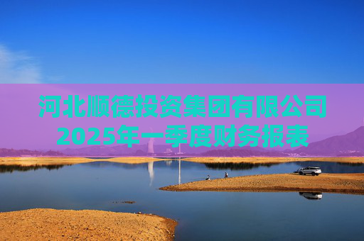 河北顺德投资集团有限公司2025年一季度财务报表