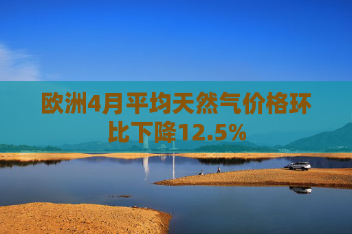 欧洲4月平均天然气价格环比下降12.5%  第1张