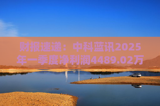 财报速递：中科蓝讯2025年一季度净利润4489.02万元  第1张