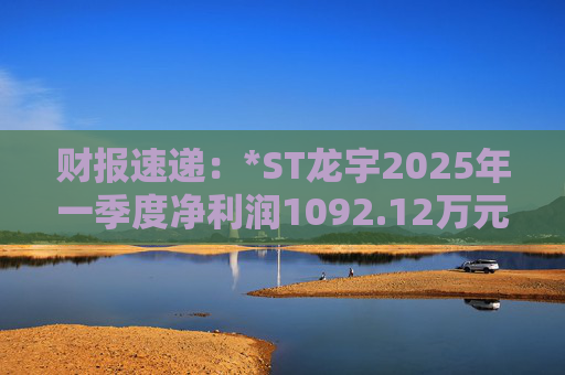 财报速递：*ST龙宇2025年一季度净利润1092.12万元