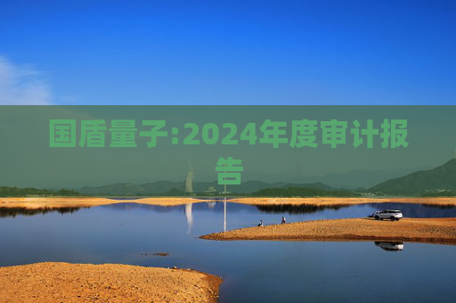 国盾量子:2024年度审计报告  第1张