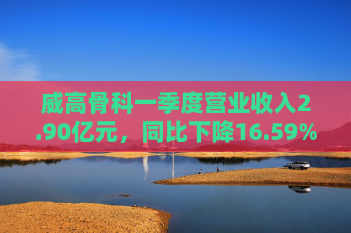 威高骨科一季度营业收入2.90亿元，同比下降16.59%