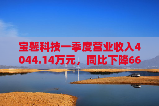 宝馨科技一季度营业收入4044.14万元，同比下降66.73%
