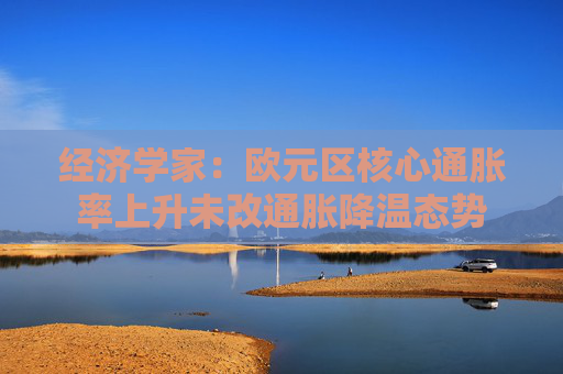经济学家：欧元区核心通胀率上升未改通胀降温态势