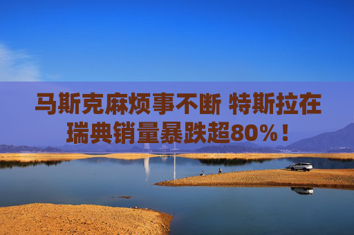 马斯克麻烦事不断 特斯拉在瑞典销量暴跌超80%！