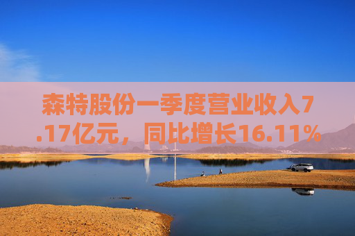 森特股份一季度营业收入7.17亿元，同比增长16.11%
