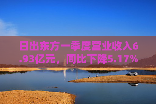 日出东方一季度营业收入6.93亿元，同比下降5.17%