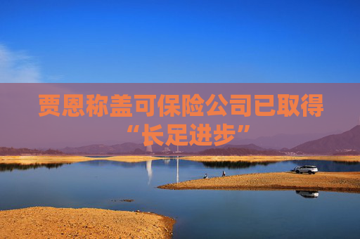 贾恩称盖可保险公司已取得 “长足进步”