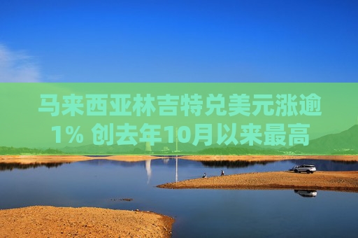马来西亚林吉特兑美元涨逾1% 创去年10月以来最高