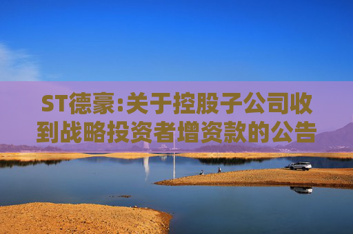 ST德豪:关于控股子公司收到战略投资者增资款的公告  第1张