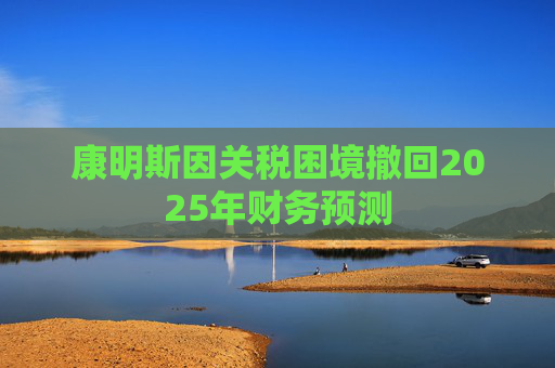 康明斯因关税困境撤回2025年财务预测