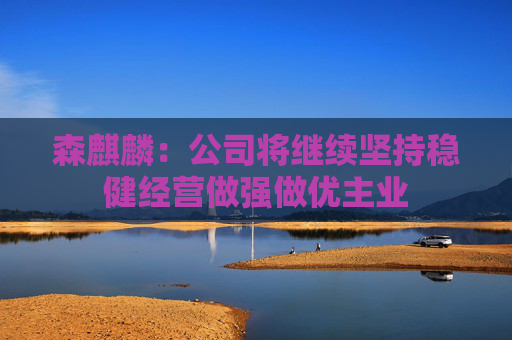 森麒麟：公司将继续坚持稳健经营做强做优主业