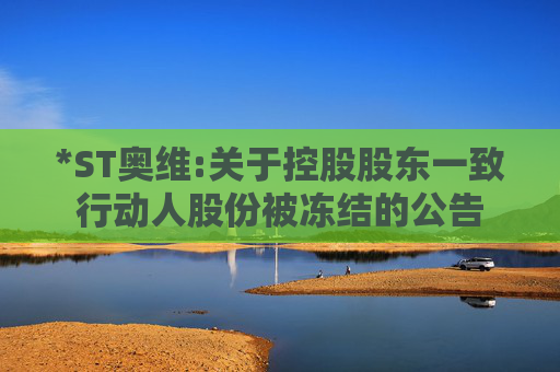 *ST奥维:关于控股股东一致行动人股份被冻结的公告  第1张