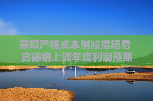 采取严格成本削减措施后 高德纳上调年度利润预期