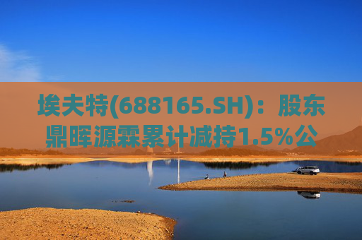 埃夫特(688165.SH)：股东鼎晖源霖累计减持1.5%公司股份