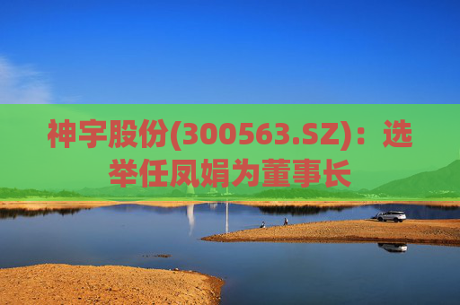 神宇股份(300563.SZ)：选举任凤娟为董事长  第1张