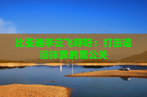 比亚迪李云飞呼吁：打击造谣抹黑的黑公关