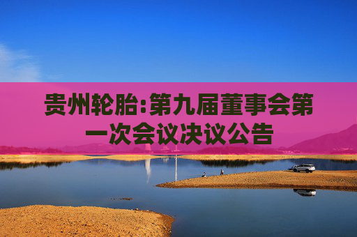 贵州轮胎:第九届董事会第一次会议决议公告