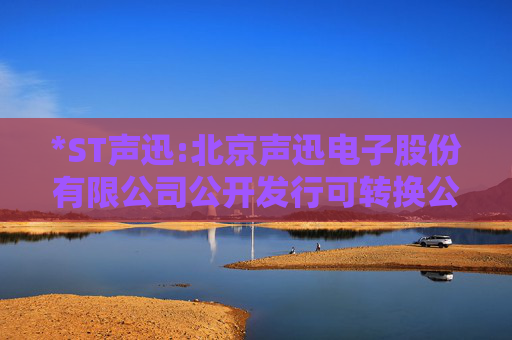 *ST声迅:北京声迅电子股份有限公司公开发行可转换公司债券第一次临时受托管理事务报告（2025年度）