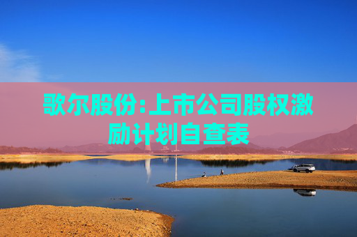 歌尔股份:上市公司股权激励计划自查表