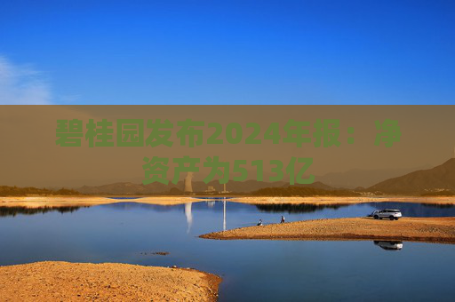 碧桂园发布2024年报：净资产为513亿