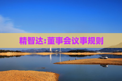 精智达:董事会议事规则