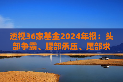 透视36家基金2024年报：头部争霸、腰部承压、尾部求生  第1张