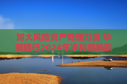 加大风险资产处理力度 华润银行2024年净利润暴跌近七成