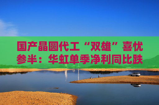 国产晶圆代工“双雄”喜忧参半：华虹单季净利同比跌近9成，中芯国际大涨166.5%