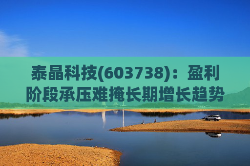 泰晶科技(603738)：盈利阶段承压难掩长期增长趋势 加码车规高附加值产品序列