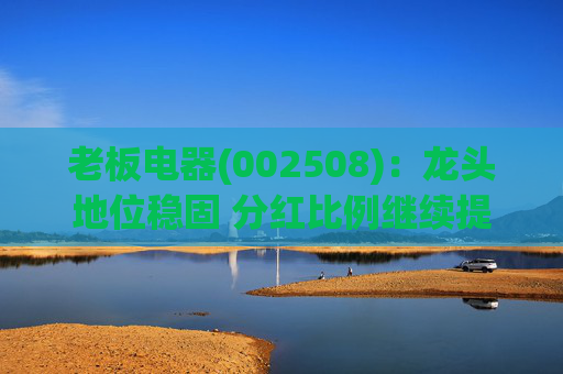老板电器(002508)：龙头地位稳固 分红比例继续提升  第1张