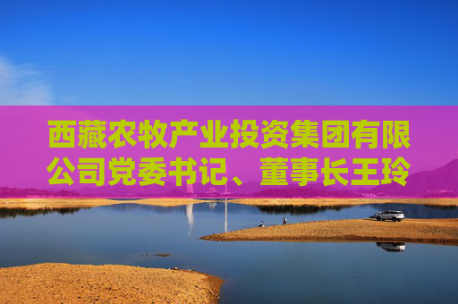 西藏农牧产业投资集团有限公司党委书记、董事长王玲接受纪律审查和监察调查