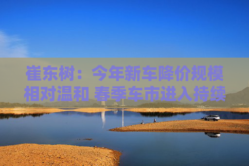 崔东树：今年新车降价规模相对温和 春季车市进入持续走强的良好状态