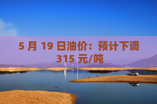 5 月 19 日油价：预计下调 315 元/吨